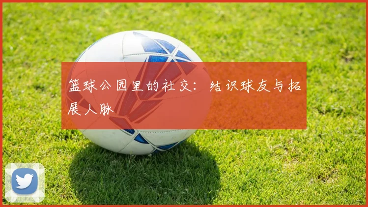 篮球公园里的社交：结识球友与拓展人脉
